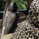 thumbnail image 2 of Juego completo de fundas para asientos de coche AUTOFAN Zebra/Leopard con accesorios, 2 of 7