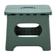 thumbnail image 1 of Piso Alzador Plegable 1 Resistente Peldaño Hasta 90 Kg Verde, 1 of 6