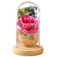 thumbnail image 1 of Rosas, rosas eternas con luz en una cúpula de cristal, regalo de rosa para novia, boda, 1 of 4