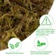 thumbnail image 3 of Musgo Artificial YUNVI 500 g Verde para Manualidades, 3 of 7