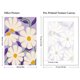 thumbnail image 3 of Kit de Pintura por Números Fountor – Pack de 6 Flores 20 × 25 cm, 3 of 7