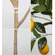 thumbnail image 4 of Limonero limón planta artificial árbol decoración interior 150mt, 4 of 6