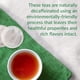 thumbnail image 4 of Tea The Republic of Tea, descafeinado, vainilla y almendra negra, 50 bolsitas, 4 of 7