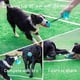 thumbnail image 2 of Juguete para perros ALLRIER Tug of War, estimulante mentalmente para perros pequeños, 2 of 8