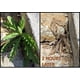 thumbnail image 3 of Vinagre Concentrado Al 75% De Grado Industrial 946 Ml, 3 of 3