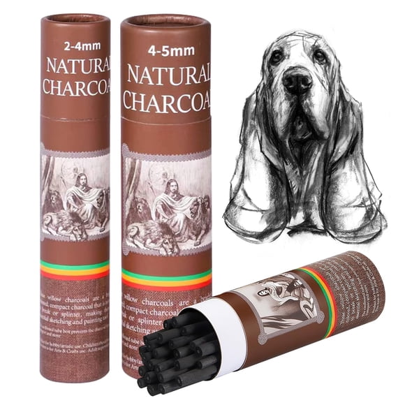 Carboncillos de sauce negro CongGongGo 50 piezas