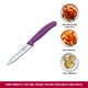 thumbnail image 3 of Cuchillo Victorinox Swiss Classic para pelar, 10 cm, recto, morado, 3 of 3