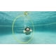 thumbnail image 5 of Juguetes plegables para piscina Swim Thru Rings Stream Machine de 76 cm, 5 of 7