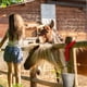 thumbnail image 3 of Correas de cubo de caballo de 10 piezas para caballos Correa de cubo ajustable Correas de caballo de nylon Correa colgante de caballo para caballo de cubo de agua, Redes de heno, Cubos de ag, 3 of 3