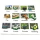 thumbnail image 1 of Montessori Animal Matching Card Cognitive Kids Educational Toy Animal Insect Farm Zoo Preschool Toddler Language Learning Card, 1 of 3