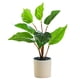thumbnail image 1 of Plantas artificiales, plantas artificiales en maceta, decoración del hogar, 1 of 5