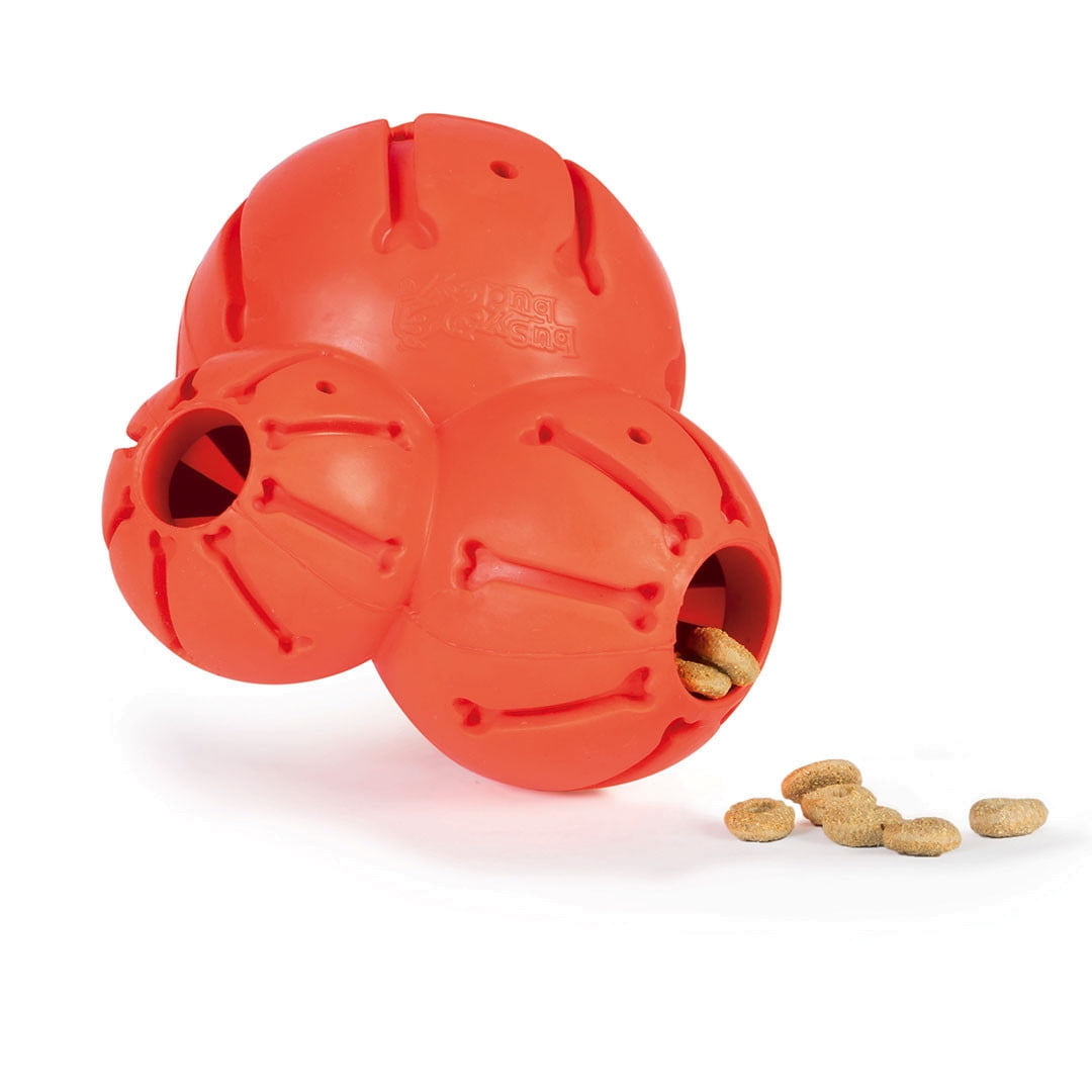 Juguete para perros Mordible Barnacle Medium