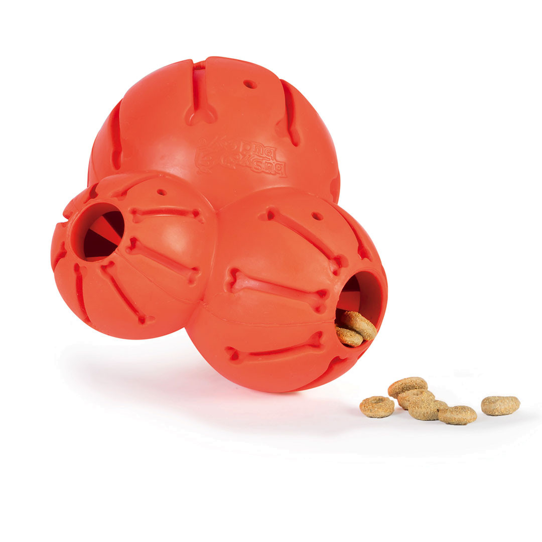 Petsafe - Juguete Para Perros Mordible Barnacle Medium