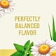 thumbnail image 3 of Té de Hierbas Manzanilla Celestial Seasonings Sin Cafeína Paquete de 6, 3 of 6
