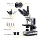 thumbnail image 3 of Microscopio compuesto SWIFT SW350T Trinocular 40X-2500X, 3 of 8