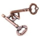 thumbnail image 2 of Mind Game Puzzles Wire Brain Teaser IQ Test Toy Para Ni?os Adultos Bronce, 2 of 3