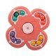 thumbnail image 4 of Magic Bean Fingertip Fidget Spinner Adultos Ni?os Juguetes De Descompresión Ladrillo Rojo, 4 of 5