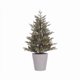 thumbnail image 1 of Celebraciones del árbol de Navidad Misty Allison Pine, LED completo de 4 pies, 1 of 1