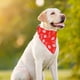 thumbnail image 3 of Paquete de 4 pañuelos para perros, pañuelo triangular para San Valentín para niños y niñas, 65 x 45 x 45 cm, 3 of 5