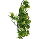 thumbnail image 1 of Planta de terrario de plástico Exo Terra Amapallo de tamaño mediano, 1 of 2