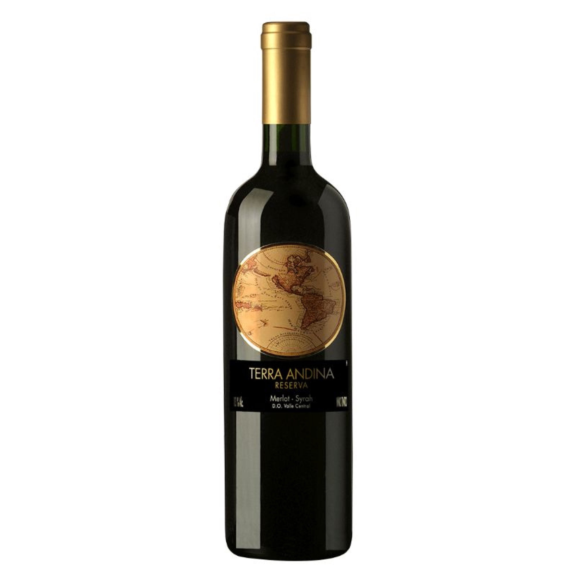 Vino Tinto Ensamblaje Merlot Y Syrah Reserva 12,5° Botella 750 cc Terra Andina