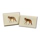 thumbnail image 3 of Juego de tarjetas de notas Earth Sky + Water – 8 tarjetas y sobres, 3 of 3