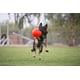 thumbnail image 2 of Balón de fútbol para perros Jolly Pets, tamaño grande, naranja, para más de 40 libras, 2 of 7