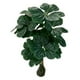 thumbnail image 1 of Planta Artificial Tipo Fiddle Tree. Altura: 75Cm, 1 of 4