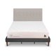 thumbnail image 1 of Cama Europea Curve Cocopedic King + Respaldo Tigris, 1 of 14