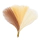 thumbnail image 5 of 6x Relleno De Jarrón De Arreglo De Flores Secas Artificiales Para Decoración Del Hogar Beige Marrón Caqui, 5 of 5