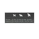 thumbnail image 3 of Belcando Pollo y Pato – Lata 800 g Perros Adultos amarillo, 3 of 5
