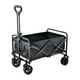 thumbnail image 1 of Carrito Para Compras y Camping Con Frenos Negro LuBabycas, 1 of 8