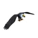 thumbnail image 1 of Modelo de águila simulada, juguete para niños, estatua de águila educativa muy detallada, figura de juguete de águila para niños, niñas, niños, regalo L negro, 1 of 5