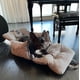 thumbnail image 3 of Asiento de coche para perros Jacko & Co Premium, seguro y acogedor para mascotas pequeñas, 3 of 9
