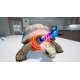 thumbnail image 4 of Videojuego Mindscape My Life Pet Vet para PS5, 4 of 9