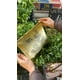 thumbnail image 2 of Bolsa reutilizable hierbas, 2 of 2