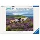 thumbnail image 1 of Rompecabezas Ravensburger de 2000 piezas Caballos salvajes, 1 of 9