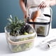 thumbnail image 4 of Canasto Organizador Cuadrado Con Mango de Madera - Verde Agua, 4 of 7