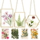 thumbnail image 1 of Marco de vidrio doble para flores prensadas con flores secas reales, 1 of 8
