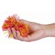 thumbnail image 3 of El original de Koosh Ball Schylling se vende por unidades, 3 of 3