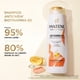 thumbnail image 5 of Shampoo Pantene Anticaída+ Biotinamina B3 Para Cabello Débil, 300 ml, 5 of 5