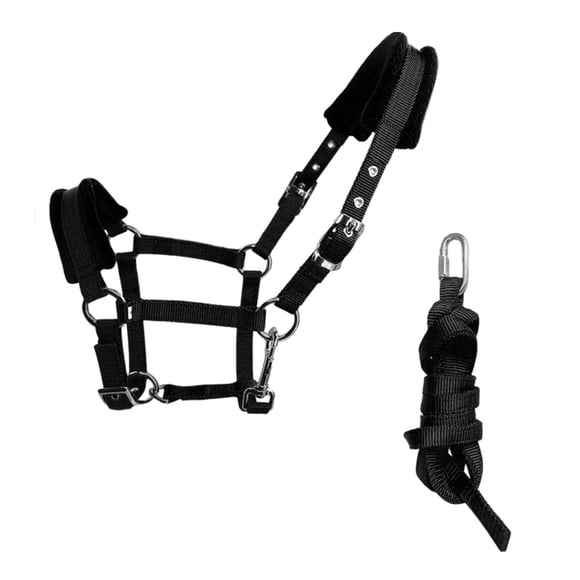 Brida De Caballo Rienda Headstall Halter Horse Leading Rope S Tamaño Negro
