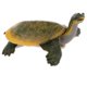thumbnail image 3 of Simulación Animal Modelo Figura Juguetes Estatuilla Decoración Para El Hogar Tortuga De Caparazón Blando, 3 of 5