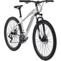 Genérico - Bicicleta Bianchi Stone Mountain 29 Sx Alloy Pla Semi Matte Color Plateado Tamaño Del Cuadro M