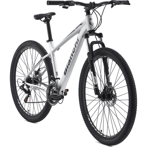 Genérico - Bicicleta Bianchi Stone Mountain 29 Sx Alloy Pla Semi Matte Color Plateado Tamaño Del Cuadro M