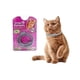 thumbnail image 2 of Collar Antipulgas Para Gatos Repelente No Toxico Petsfriends, 2 of 2