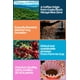 thumbnail image 2 of Granos de café espresso Nicoya de The Sloth And The Hummingbird, 2 of 6