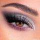 thumbnail image 5 of Paleta de sombras de ojos ColourPop Stone Cold Fox 30 Pan, 5 of 8