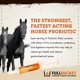 thumbnail image 2 of Pasta probiótica FullBucket Health Equine 32.5 mL, 2 of 7