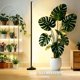 thumbnail image 4 of Luz de cultivo Uocub 60W 183 cm de espectro completo con temporizador, 4 of 9